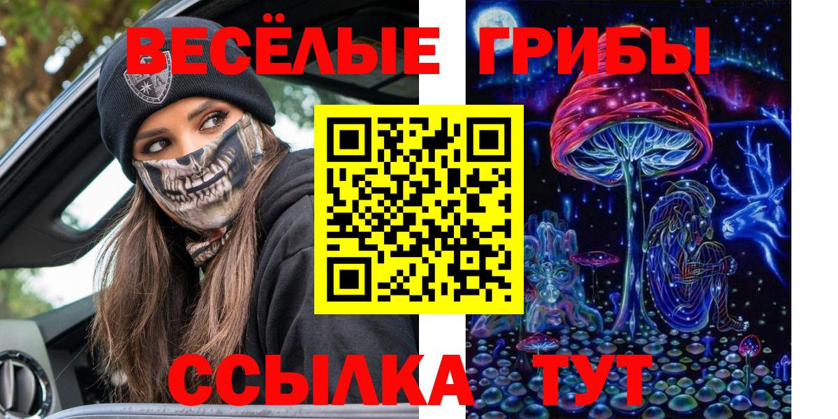 Псилоцибиновые грибы Cubensis  Вход с VPN  Новочебоксарск 